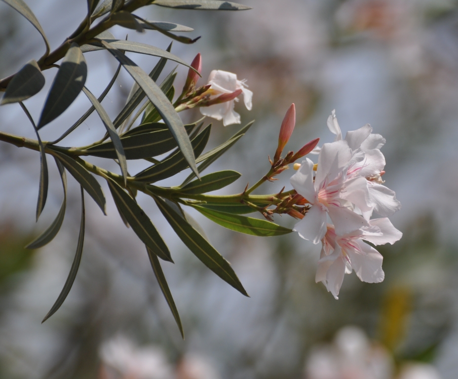 2 - Imagens do CEU.jpg